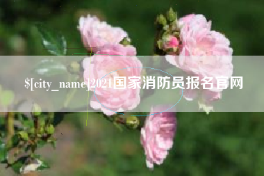 西双版纳2021国家消防员报名官网