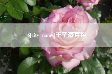 西双版纳王子豪百科