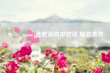西双版纳合肥消防中控证 报名条件