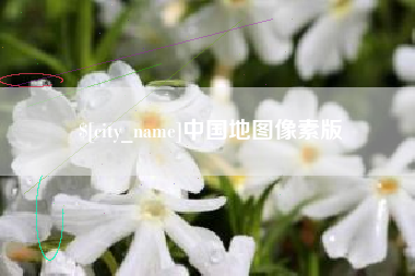 西双版纳中国地图像素版