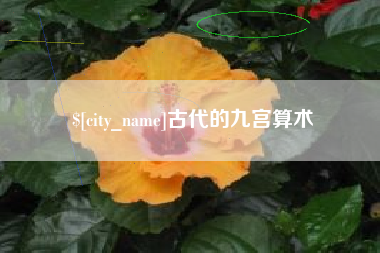 西双版纳古代的九宫算术