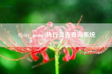 西双版纳执行公告查询系统