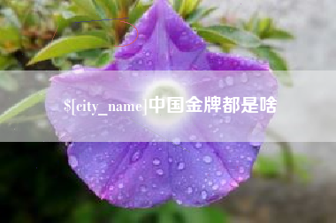 西双版纳中国金牌都是啥