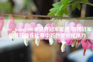西双版纳5000米世界冠军配速-世界冠军们往往能在比赛中巧妙地分配体力