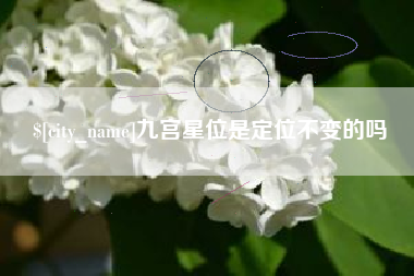 西双版纳九宫星位是定位不变的吗