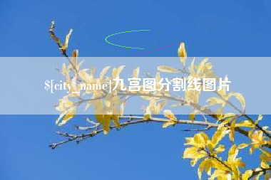 西双版纳九宫图分割线图片