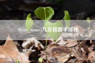 西双版纳九宫格数字排序