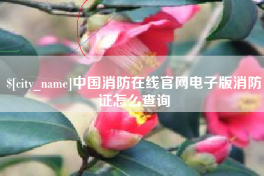 西双版纳中国消防在线官网电子版消防证怎么查询