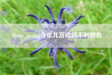 西双版纳今年九宫格的不利颜色