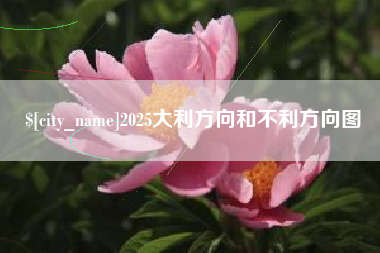 西双版纳2025大利方向和不利方向图