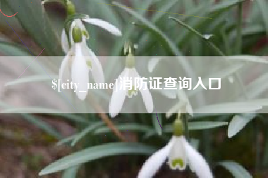 西双版纳消防证查询入口