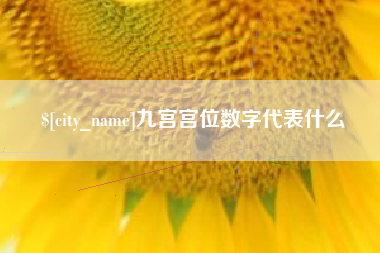 西双版纳九宫宫位数字代表什么