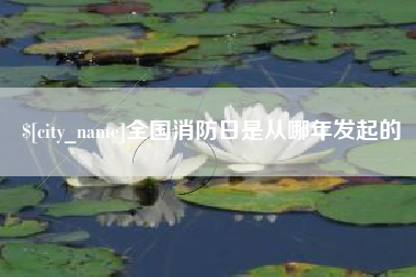 西双版纳全国消防日是从哪年发起的