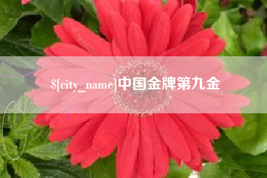 西双版纳中国金牌第九金