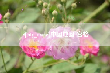 西双版纳中国地图9宫格