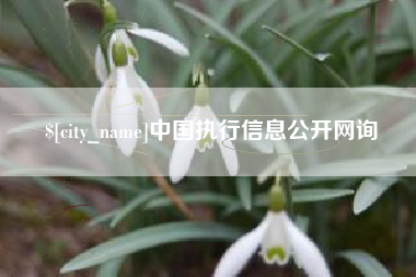 西双版纳中国执行信息公开网询