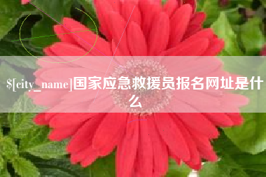 西双版纳国家应急救援员报名网址是什么