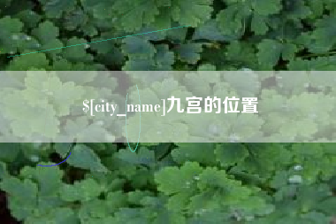 西双版纳九宫的位置