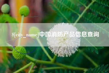西双版纳中国消防产品信息查询