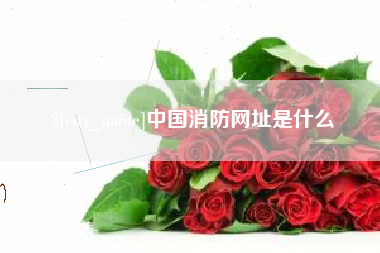 西双版纳中国消防网址是什么