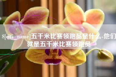 西双版纳五千米比赛领跑员是什么-他们就是五千米比赛领跑员