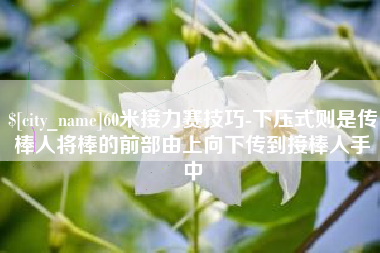 西双版纳60米接力赛技巧-下压式则是传棒人将棒的前部由上向下传到接棒人手中