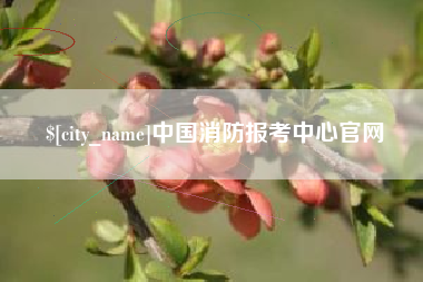 西双版纳中国消防报考中心官网