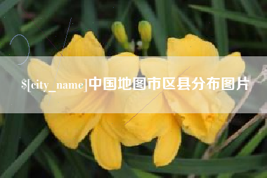 西双版纳中国地图市区县分布图片