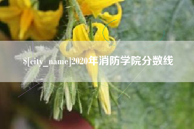 西双版纳2020年消防学院分数线