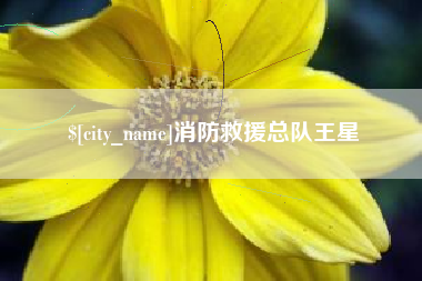 西双版纳消防救援总队王星
