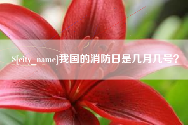 西双版纳我国的消防日是几月几号？