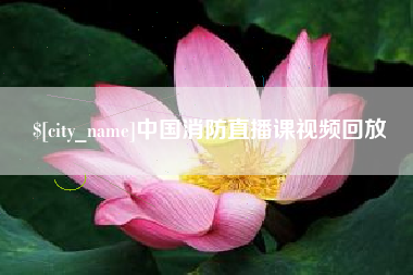 西双版纳中国消防直播课视频回放