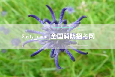 西双版纳全国消防招考网