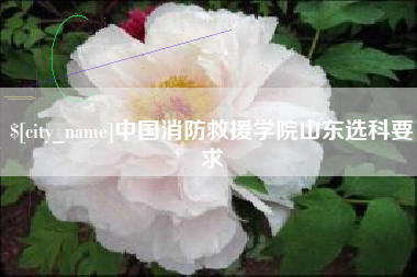 西双版纳中国消防救援学院山东选科要求