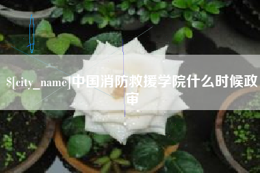 西双版纳中国消防救援学院什么时候政审