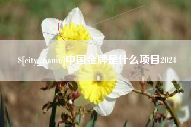 西双版纳中国金牌是什么项目2024