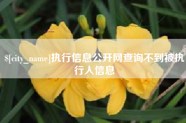 西双版纳执行信息公开网查询不到被执行人信息