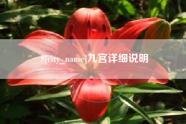 西双版纳九宫详细说明