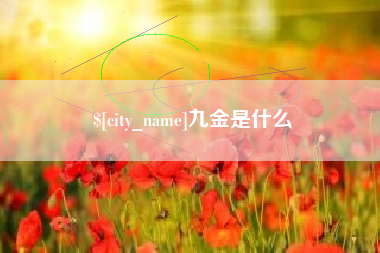 西双版纳九金是什么