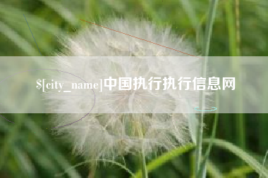 西双版纳中国执行执行信息网
