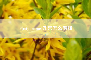 西双版纳九宫怎么解释