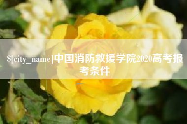 西双版纳中国消防救援学院2020高考报考条件