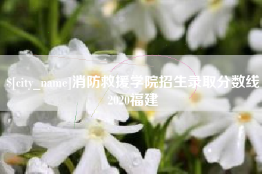 西双版纳消防救援学院招生录取分数线2020福建