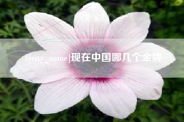 西双版纳现在中国哪几个金牌