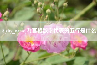 西双版纳九宫格数字代表的五行是什么