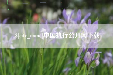 西双版纳中国执行公开网下载