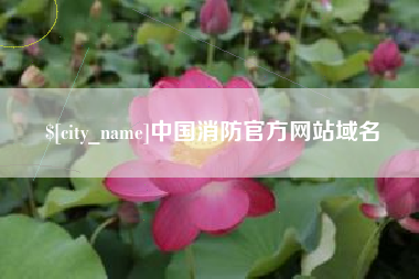 西双版纳中国消防官方网站域名