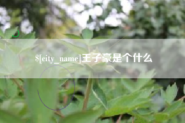 西双版纳王子豪是个什么