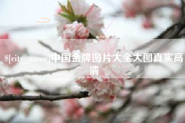 西双版纳中国金牌图片大全大图真实高清