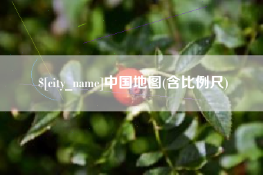 西双版纳中国地图(含比例尺)